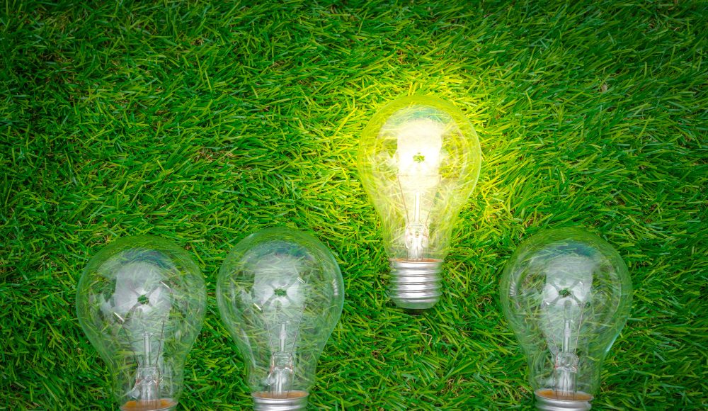 energie verde (2)